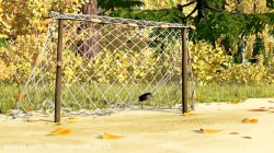 کارتون ماشا و میشا ❤ قسمت 8 ❤